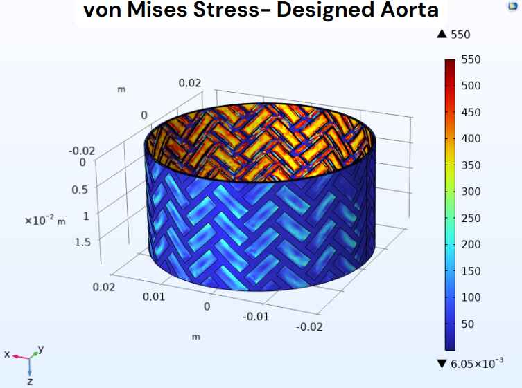 EVAR Aortic Simulator